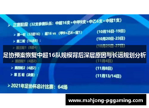 足协预案恢复中超16队规模背后深层原因与长远规划分析
